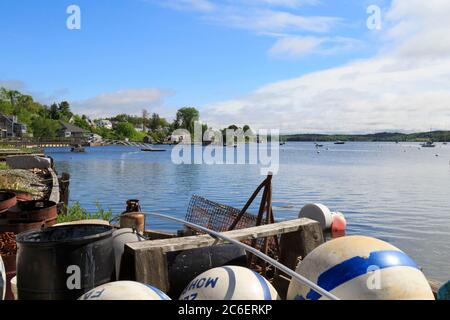 Hafen mit Booten und Dock im Sommer, Castine, Maine, New England, USA Stockfoto