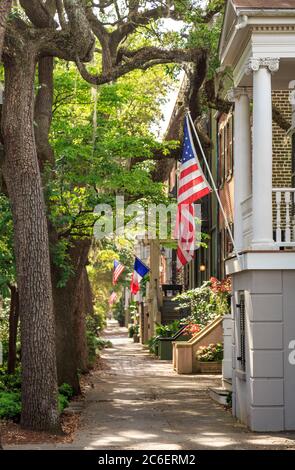 Historische District Street gesäumt mit Reihenhäusern in Spring, Savannah, Georgia Stockfoto