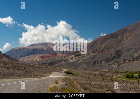 Bunte Berge und Kakteen entlang der Ruta 51 in den Anden zwischen Salta und San Antonio de los Cobres in der argentinischen Provinz Salta Stockfoto