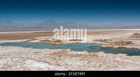 Die Salzseen Laguna Chaxa und Laguna Puilar in der Atacama Wüste in den Anden in Chile Stockfoto