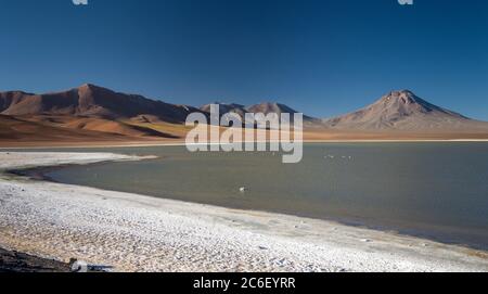 Laguna Lejia in den Anden in Chile bei San Pedro de Atacama Stockfoto