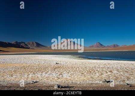 Laguna Lejia in den Anden in Chile bei San Pedro de Atacama Stockfoto