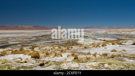 Termas de Polques (heiße Quellen) im Reserva Nacional de Fauna Andina Eduardo Avaroa in den Anden in Bolivien Stockfoto