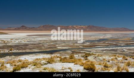 Termas de Polques (heiße Quellen) im Reserva Nacional de Fauna Andina Eduardo Avaroa in den Anden in Bolivien Stockfoto