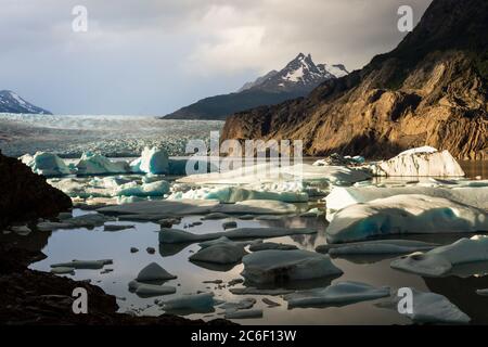 Schwimmende Eisberge vom Glaciar Grey am Lago Grey bei Abendsonne im Torres del Paine Nationalpark in Patagonien in den Anden in Chile Stockfoto