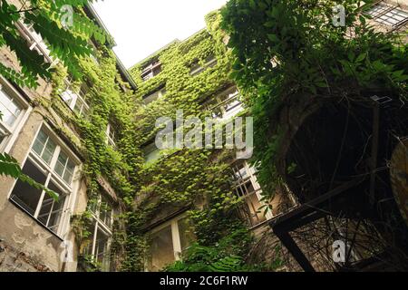 Blick auf ein braunes Gebäude mit grünen Pflanzen an den Wänden Stockfoto