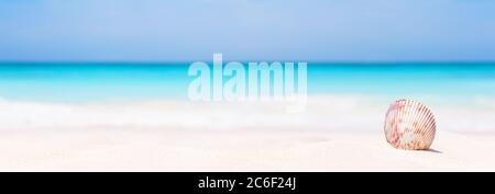 Panorama des Sommerstrands mit Seesternen und blauem Meereshintergrund. Landschaft des tropischen Sommers. Sommerurlaub Konzept. Stockfoto