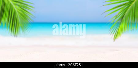 Panorama von verschwommenem blauen Himmel und Blätter von Kokospalme. Landschaft des tropischen Sommers. Sommerurlaub Konzept. Stockfoto