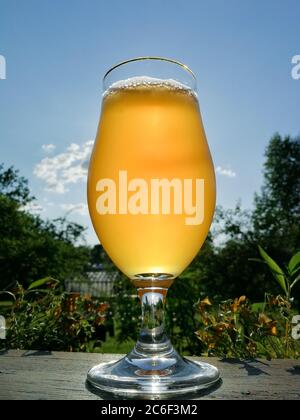 Ein Glas Bier an einem sonnigen Tag mit blauem Himmel Stockfoto