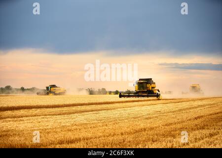 Kombinieren Sie Erntemaschinen arbeiten in Weizenfeld mit bewölktem Himmel launisch. Erntemaschine Fahrer Schneiden Ernte in einem Ackerland. Landwirtschaft Thema, Ernte Stockfoto
