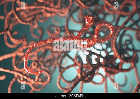 Mikroskopische Ansicht des ebola-Virus, 3d-Illustration Stockfoto