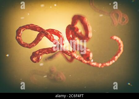 Mikroskopische Ansicht des ebola-Virus, 3d-Illustration Stockfoto