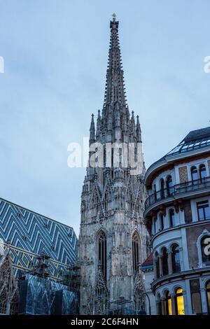 Blick auf den Stephansdom in der Wiener Altstadt, Österreich Stockfoto