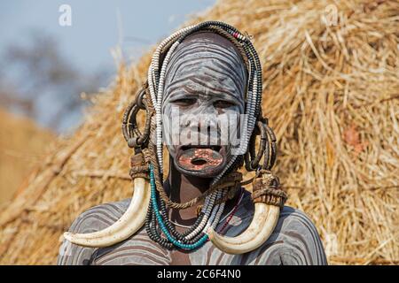 Bemalte Frau des Mursi-Stammes trägt Lippenstift und riesige Stoßzähne Ohrringe im Mago Nationalpark, Jinka, Debub Omo Zone, Süd-Äthiopien, Afrika Stockfoto