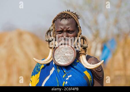 Schwarze Frau des Mursi-Stammes trägt Lippenstift und riesige Stoßzähne Ohrringe im Mago Nationalpark, Jinka, Debub Omo Zone, Süd-Äthiopien, Afrika Stockfoto