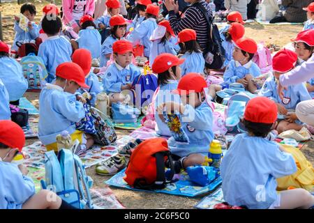 Osaka , JAPAN - 29. OKTOBER 2009: Japanische Vorschulkinder packen ihre Lunchboxen während einer Exkursion in Osaka aus. Japanische Schulsysteme Stockfoto