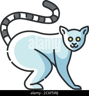 RGB-Farbsymbol für Ringschwanz-Lemur. Liebenswert exotische Tiere, tropischen Regenwald Tierwelt. Eingeborener Madagaskar-Einwohner. Cute Lemur catta isoliert Vektor Stock Vektor