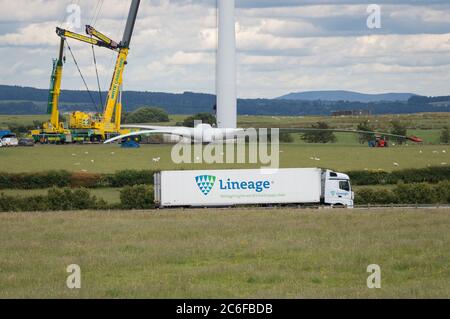 Larkhall, Schottland, Großbritannien. Juli 2020. Im Bild: Eine riesige Windkraftanlage steht ein paar hundert Meter hoch, während ihre Klingen auf dem Boden liegen bereit, befestigt werden. Grüne Energie ist ein großes Geschäft, und wenn Großbritannien seine Ziele für erneuerbare Energien archivieren soll, müssen mehr Windenergieanlagen an Land und auf See gebaut werden. Quelle: Colin Fisher/Alamy Live News Stockfoto