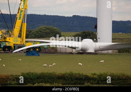 Larkhall, Schottland, Großbritannien. Juli 2020. Im Bild: Eine riesige Windkraftanlage steht ein paar hundert Meter hoch, während ihre Klingen auf dem Boden liegen bereit, befestigt werden. Grüne Energie ist ein großes Geschäft, und wenn Großbritannien seine Ziele für erneuerbare Energien archivieren soll, müssen mehr Windenergieanlagen an Land und auf See gebaut werden. Quelle: Colin Fisher/Alamy Live News Stockfoto