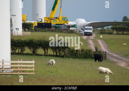 Larkhall, Schottland, Großbritannien. Juli 2020. Im Bild: Eine riesige Windkraftanlage steht ein paar hundert Meter hoch, während ihre Klingen auf dem Boden liegen bereit, befestigt werden. Grüne Energie ist ein großes Geschäft, und wenn Großbritannien seine Ziele für erneuerbare Energien archivieren soll, müssen mehr Windenergieanlagen an Land und auf See gebaut werden. Quelle: Colin Fisher/Alamy Live News Stockfoto