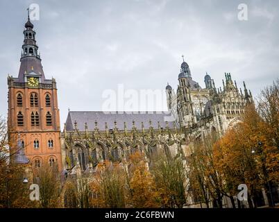 Gotische St. John's Cathedral in Den Bosch, Nordbrabant, Niederlande Stockfoto