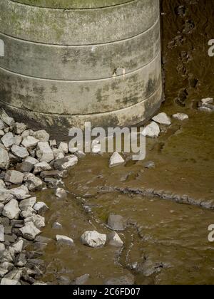 Fußabdruck Spuren im Schlamm bei Ebbe Stockfoto