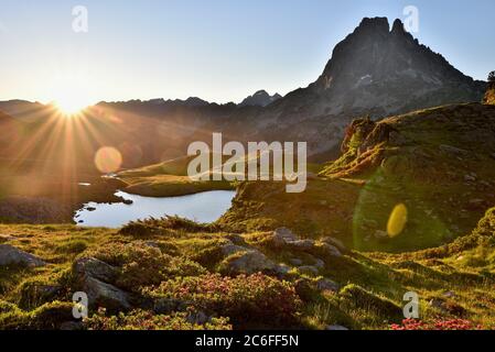 Schöner Sonnenaufgang in den französischen Bergen der Pyrenäen.EIN großer Berg erscheint über einem kleinen See. Die Vegetation ist durch das Sonnenlicht gefärbt. Stockfoto