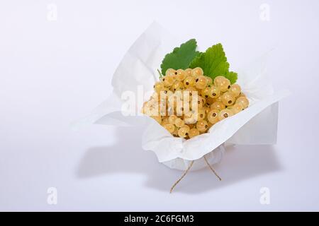 Superfood weiße Johannisbeere schön auf weißem Hintergrund angeordnet, Nahaufnahme Stockfoto