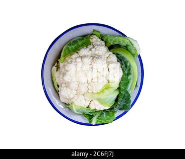 Isolierter Blumenkohl in einer Schüssel mit Wassertropfen auf einem Weißer Hintergrund Stockfoto