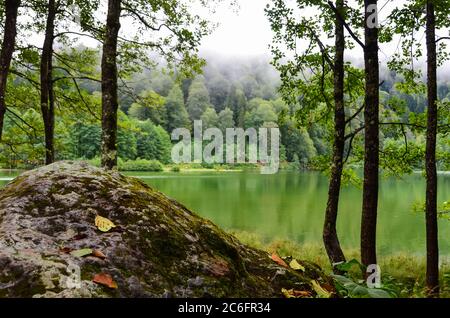 Schöner Blick auf den See von Artvin, Karagol. Stockfoto