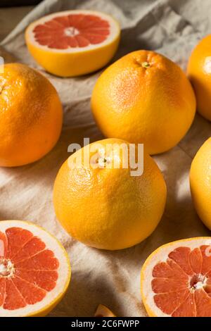 RAW Organic Ruby Red Grapefruit bereit zum Essen Stockfoto