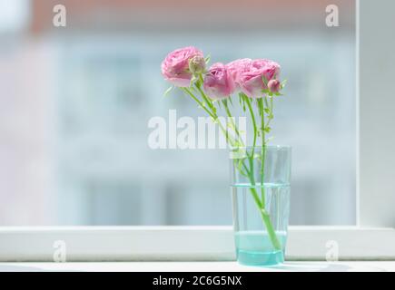 Glasvase mit rosa Rosen auf der Fensterbank. Stockfoto