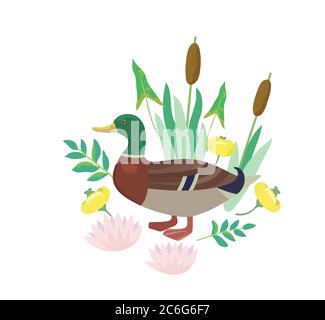 Niedliche Vektorgrafiken mit Ente, Stock und Lilienblumen. Stock Vektor