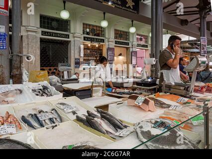 Junge Assistentin beim Ausschneiden eines Fisches in Mercato Albinelli, Modena, Italien. Stockfoto