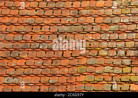 Rote Dachziegel bewachsen mit Moos und Flechten auf einem alten Dach, Ruehstaedt, Brandenburg, Deutschland Stockfoto