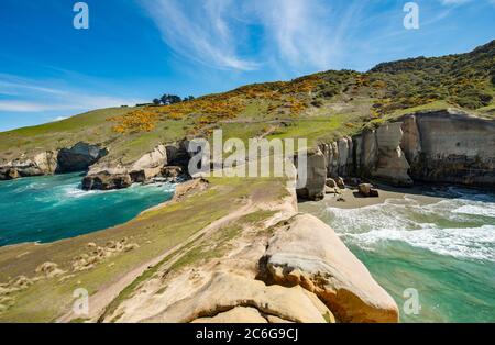 Felsklippen aus Sandsteinfelsen, Tunnel Beach, Otago, Südinsel, Neuseeland Stockfoto