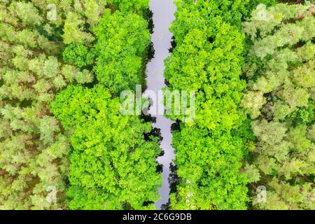 Ludwig-Donau-Main-Kanal im Wald von oben, bei Sengenthal, Drohnenbild, Oberpfalz, Bayern, Deutschland Stockfoto