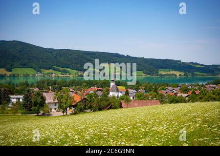 Zell am Moos mit Irrsee, im Frühjahr, Salzkammergut, Oberösterreich, Österreich Stockfoto