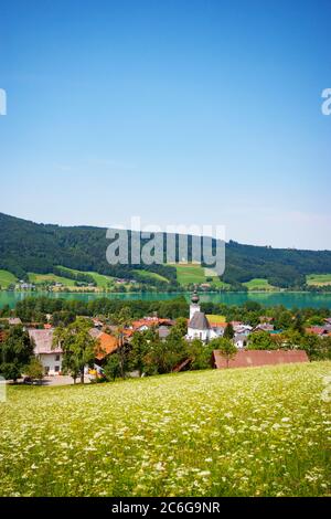 Zell am Moos mit Irrsee, im Frühjahr, Salzkammergut, Oberösterreich, Österreich Stockfoto