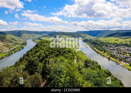 Marienburg über Weinbergen an der Mosel, Püderich, Rheinland-Pfalz, Deutschland Stockfoto