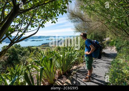 Junger Mann auf dem Weg in den Park, Blick auf Otago Halbinsel aus dem Park von Larnach Castle, Dunedin, Otago Halbinsel, Südinsel, Neuseeland Stockfoto