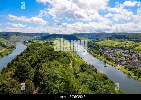 Marienburg über Weinbergen an der Mosel, Püderich, Rheinland-Pfalz, Deutschland Stockfoto