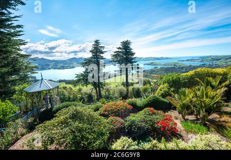 Blick auf die Otago Halbinsel vom Larnach Castle Park, Dunedin, Otago Halbinsel, Südinsel, Neuseeland Stockfoto