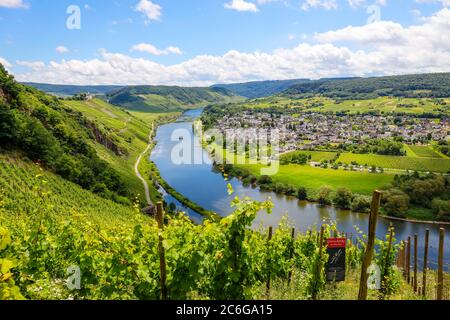 Marienburg über Weinbergen an der Mosel, Püderich, Rheinland-Pfalz, Deutschland Stockfoto