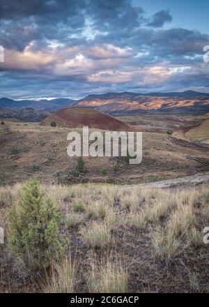Die Painted Hills sind eine geologische Stätte im Wheeler County, Oregon, die eine der drei Einheiten des John Day Fossil Beds National Monument ist Stockfoto
