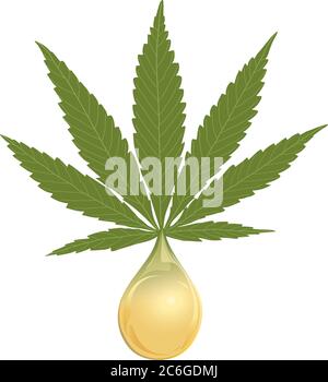 Vektor-Illustration - Tropfen CBD-Öl aus einer Marihuana-Pflanze destilliert. Tropfen ist am Boden eines 7-Blatt Sativa Marihuana Stiels. Stock Vektor