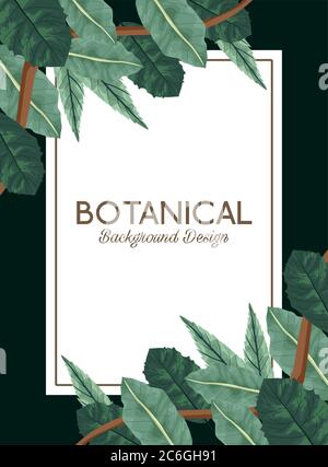 Tropische Blätter in quadratischen Rahmen und Schriftzug botanischen Hintergrund Design Vektor Illustration Design Stock Vektor