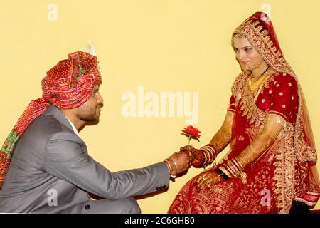 Indischer Bräutigam schlägt seiner Braut zu geben Rose in traditionellen Kleid über auf gelbem Hintergrund, selektive Fokus mit Unschärfe. Stockfoto