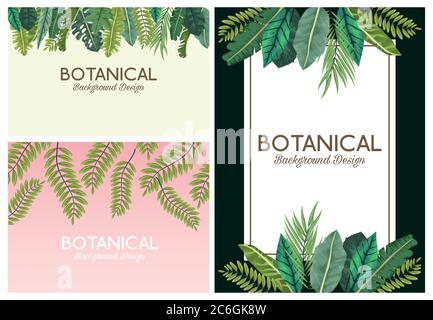 Tropische Blätter in Rahmen und Schriftzügen botanische Hintergründe Designs Vektor Illustration Design Stock Vektor
