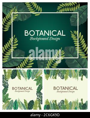 Tropische Blätter in Rahmen und Schriftzügen botanische Hintergründe Designs Vektor Illustration Design Stock Vektor
